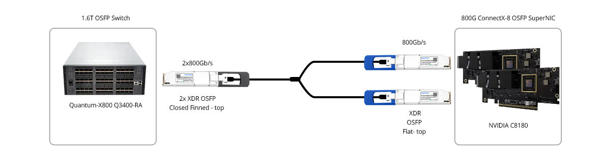 1.6T Switch to 2x 800G OSFP NIC Breakout Connectivity: