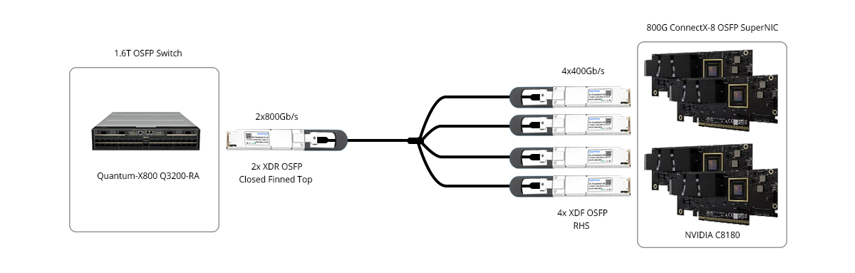 1.6T XDR OSFP Switch to 4x400G OSFP NIC
