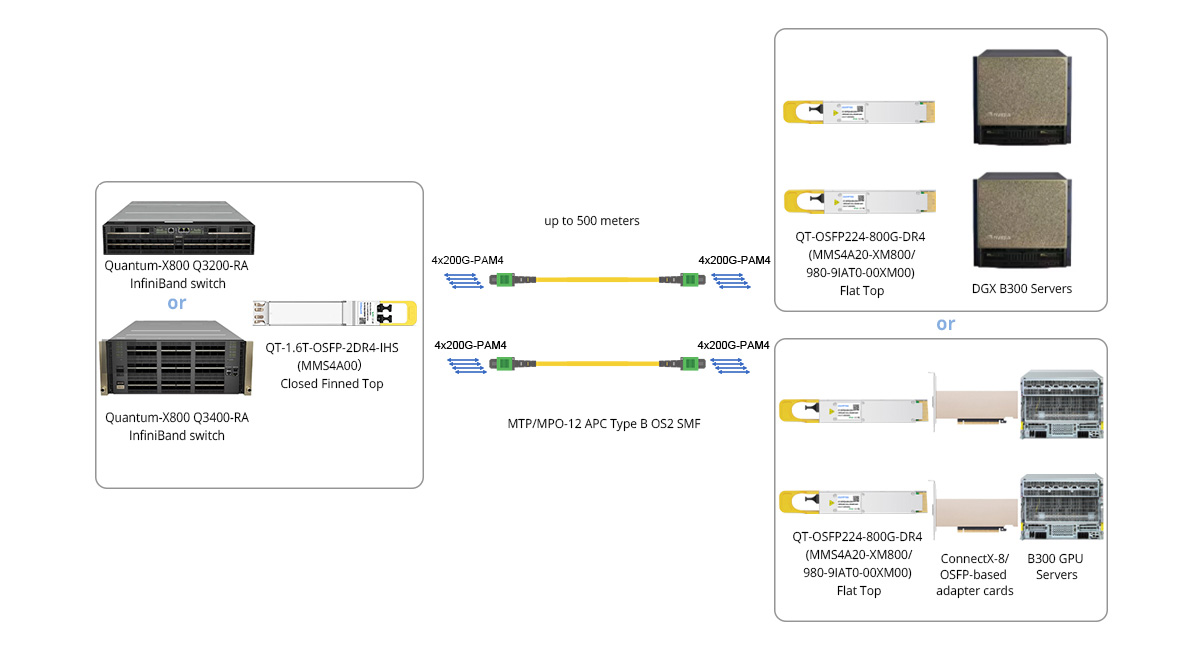 Twin-port 1.6T (2x 800G) XDR Switch to 2x 800G Links for Servers