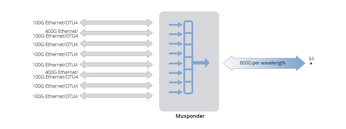 800G Muxponder