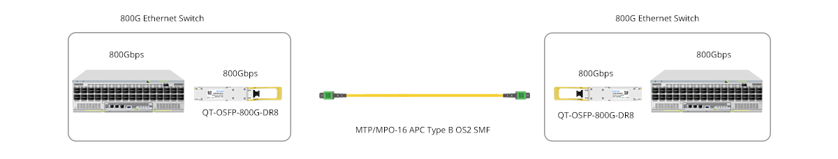 800G-to-800G Link for Switch-to-Switch