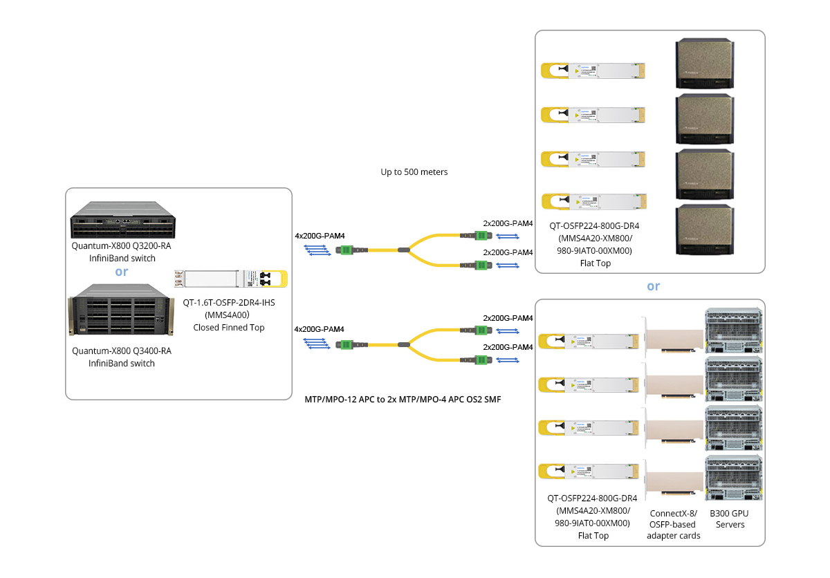 Twin-port 1.6T (2x 800G) XDR Switch to 4x 400G ConnectX-8 Adapters