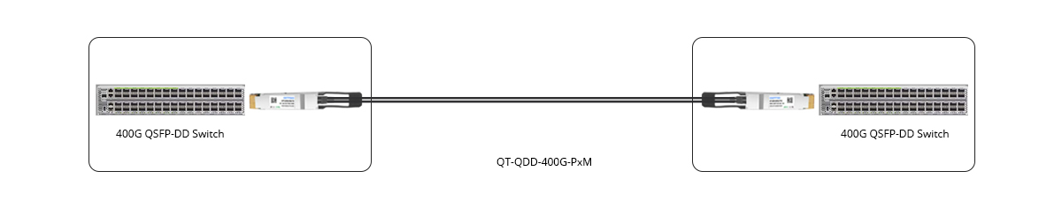 400G QSFP-DD DAC Direct Connectivity with Switch