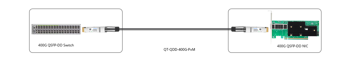 400G QSFP-DD DAC Direct Connectivity with NIC