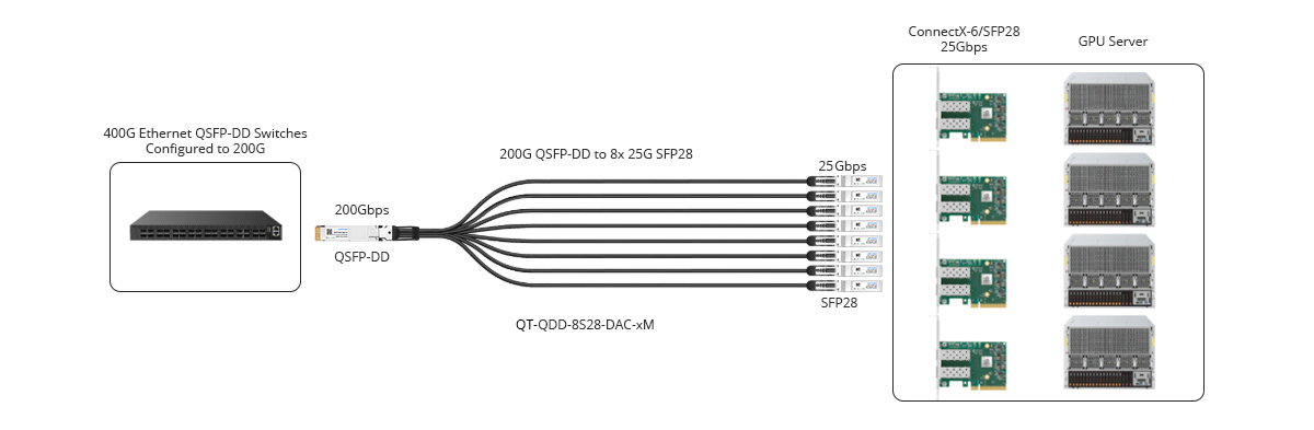 200G-to-Eight 25G Links for Switch-to-Server
