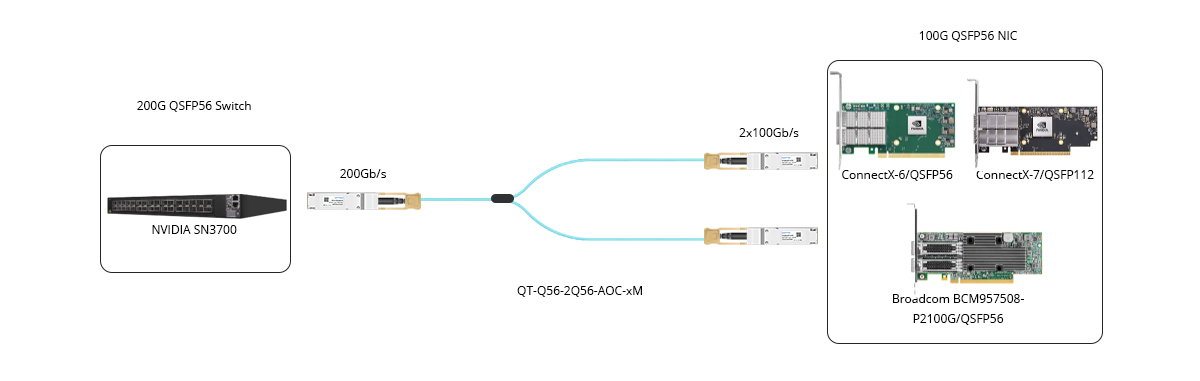 200G Switch to 100G QSFP56 NIC