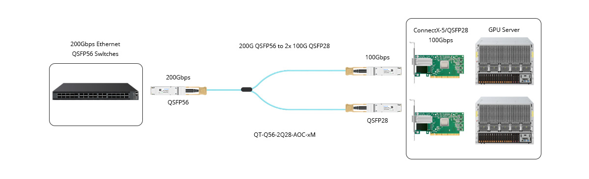 200G-to-Two 100G Links for Switch-to-Server
