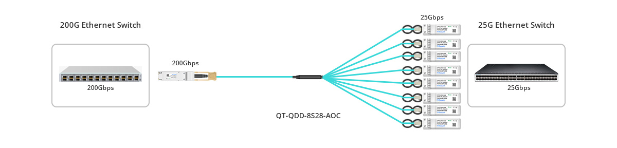 200G to 8x 25G Connectivity to Switch