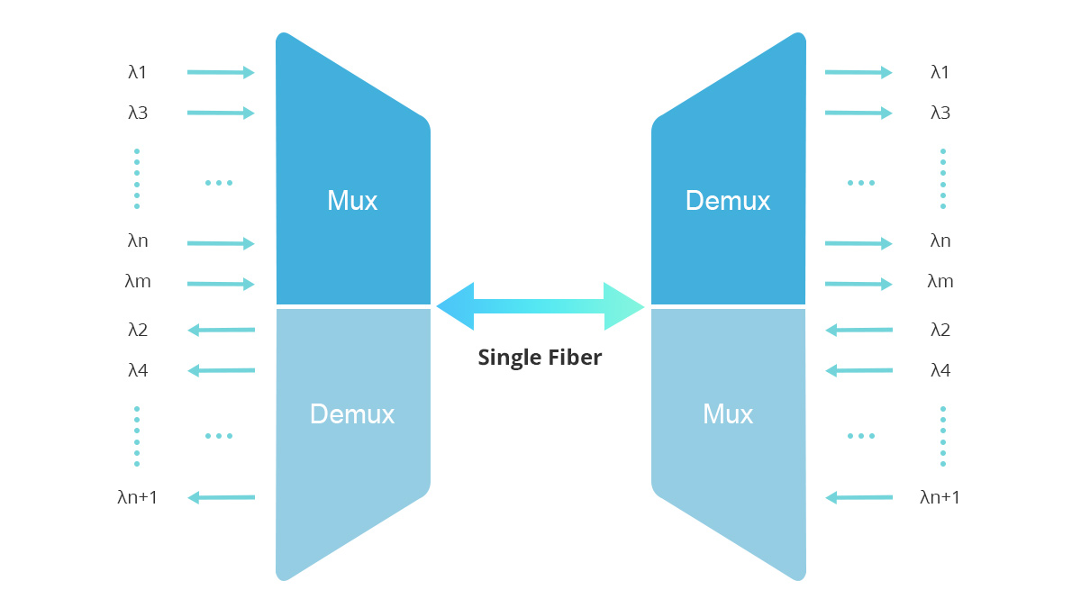 Single Fiber Wavelength