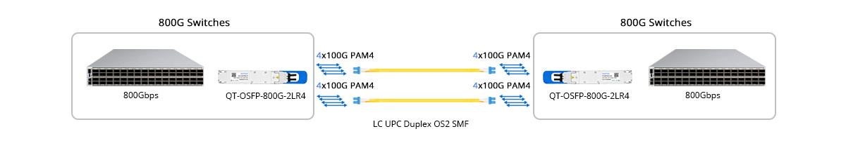 Scenario 1: 800G to 800G Direct Connectivity
