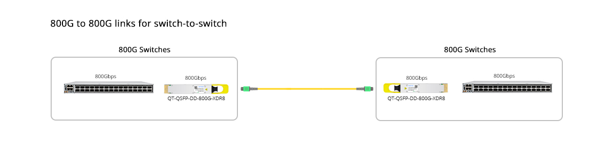 QT-QSFP-DD-800G-XDR8 Scenario 1 800G to 800G Direct Connectivity