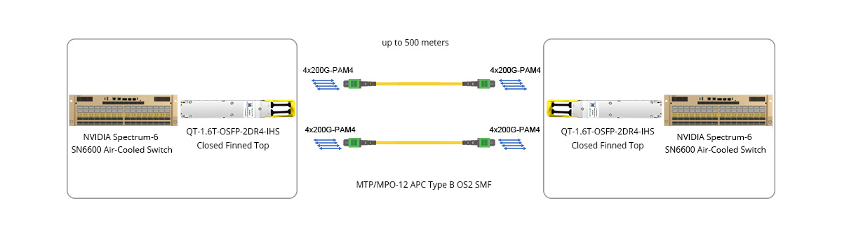 Twin-port 1.6T (2x 800G) Ethernet Air-Cooled Switch Direct Connectivity