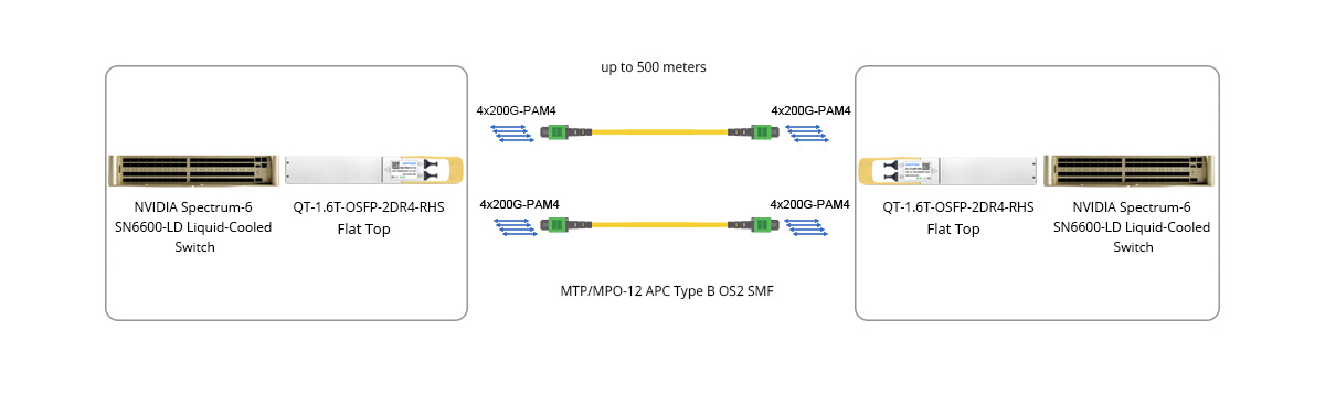 Twin-port 1.6T (2x 800G) Ethernet Liquid-Cooled Switch Direct Connectivity: