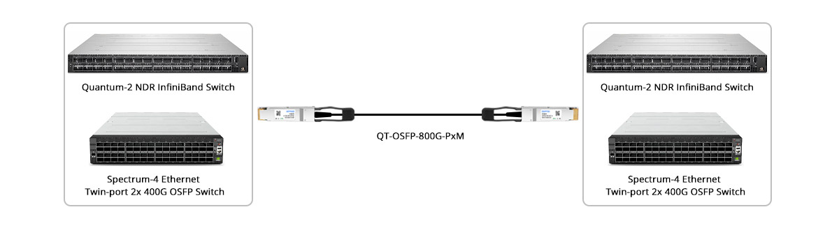Quantum-2 InfiniBand or Spectrum-4 Ethernet Switches Direct Connectivity