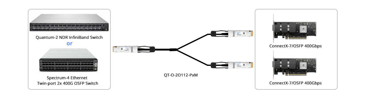 Scenario 1: Quantum-2 InfiniBand or Spectrum-4 Ethernet Switches to Dual 400G Breakout for Switch-to-Server Connectivity