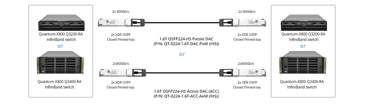 Twin-port 1.6T (2x 800G) XDR Switches Direct Connectivity with DACs: