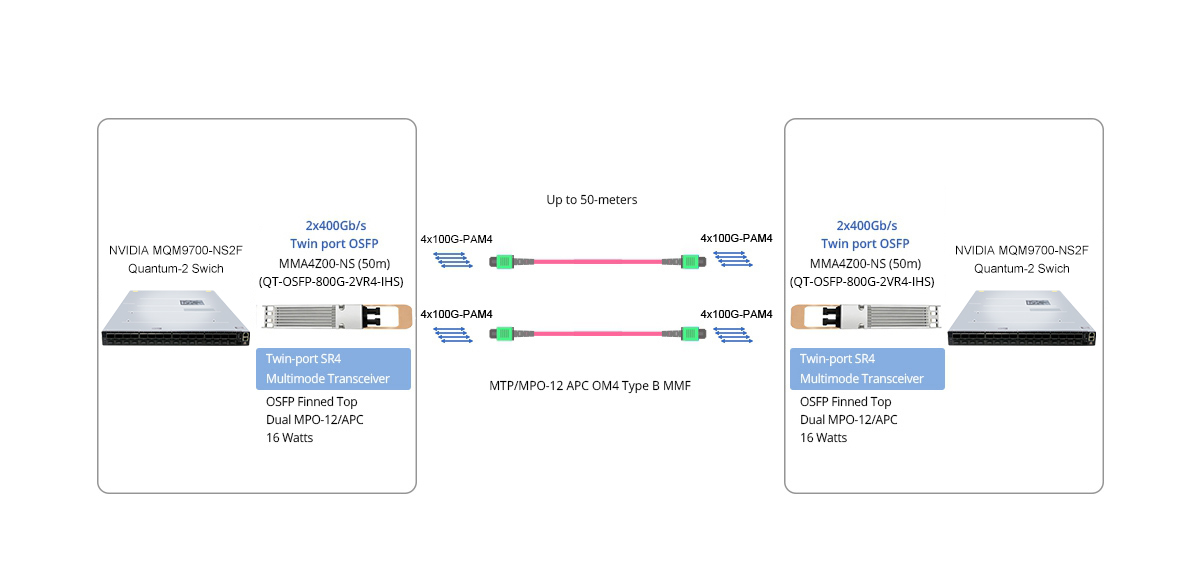 Scenario 1:  MQM9700-NS2F OSFP IB Switches Direct Connectivity 