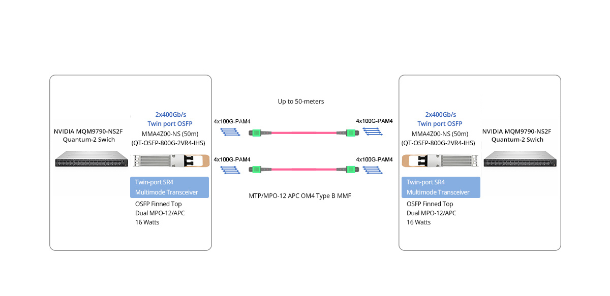 Scenario 1: MQM9790-NS2F OSFP IB Switches Direct Connectivity 